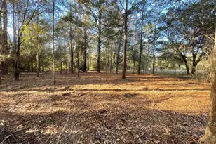 1555 Hwy 177A, Bonifay, FL 32425 - Photo 1