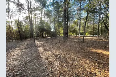 1555 Highway 177A, Bonifay, FL 32425 - Photo 10