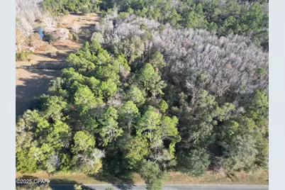 1555 Highway 177A, Bonifay, FL 32425 - Photo 2