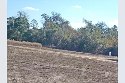 6905 Bateau Pond Lane, Grand Ridge, FL 32442 - Photo 18