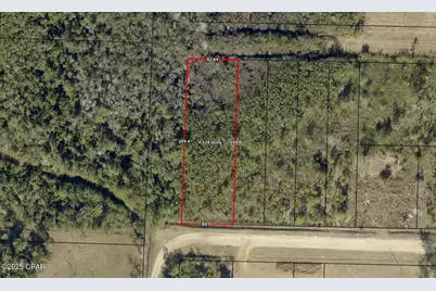 11703 Magnolia Street, Fountain, FL 32438 - Photo 4