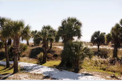 1316 Indian Pass Road, Port Saint Joe, FL 32456 - Photo 40