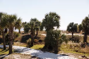 1316 Indian Pass Rd, Port Saint Joe, FL 32456 - Photo 40