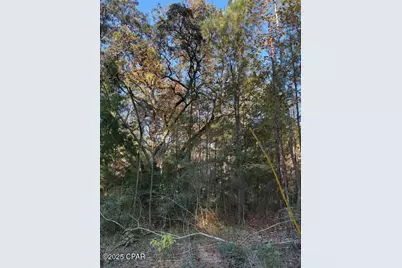 3389 Gainer Road, Chipley, FL 32428 - Photo 10