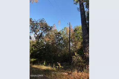 3389 Gainer Road, Chipley, FL 32428 - Photo 8