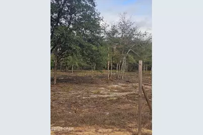 10433 Western Road, Fountain, FL 32438 - Photo 4