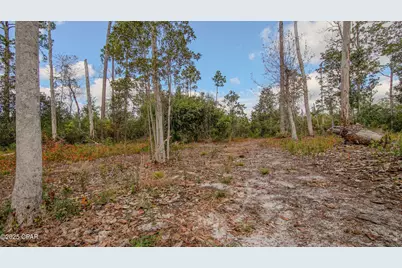 12299 Nonawood Road, Fountain, FL 32438 - Photo 10