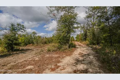 12299 Nonawood Road, Fountain, FL 32438 - Photo 14