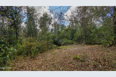 Xxx Hurst Rd    35 2N 12W, Fountain, FL 32438 - Photo 16