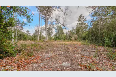 Xxx Hurst Rd    35 2N 12W, Fountain, FL 32438 - Photo 22