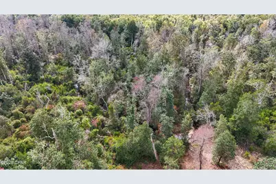 Xxx Hurst Rd    35 2N 12W, Fountain, FL 32438 - Photo 2