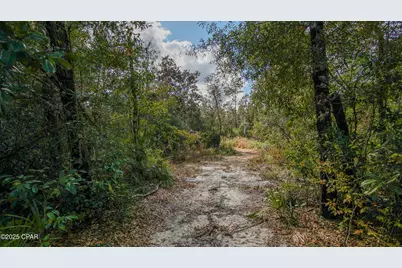 Xxx Hurst Rd    35 2N 12W, Fountain, FL 32438 - Photo 26