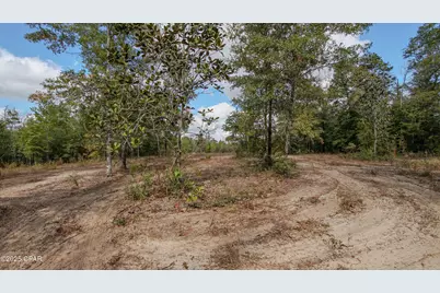 Xxx Hurst Rd    35 2N 12W, Fountain, FL 32438 - Photo 18