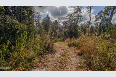 Xxx Hurst Rd    35 2N 12W, Fountain, FL 32438 - Photo 28