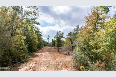 Xxx Hurst Rd    35 2N 12W, Fountain, FL 32438 - Photo 8