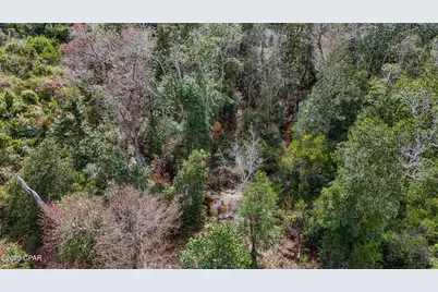 Xxx Hurst Rd    35 2N 12W, Fountain, FL 32438 - Photo 12