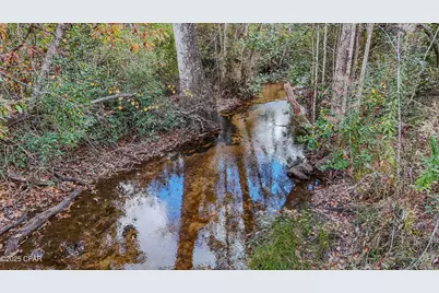 Xxx Hurst Rd    35 2N 12W, Fountain, FL 32438 - Photo 4