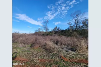 Tbd Gainer Cemetery Road, Graceville, FL 32440 - Photo 2