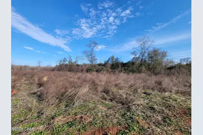 Tbd Gainer Cemetery Road, Graceville, FL 32440 - Photo 4