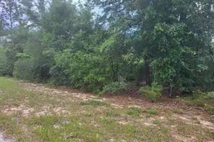 00 Cherry Circle, Marianna, FL 32448 - Photo 1