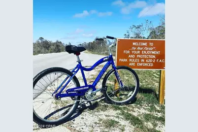 114 N Echo Lane, Cape San Blas, FL 32456 - Photo 56