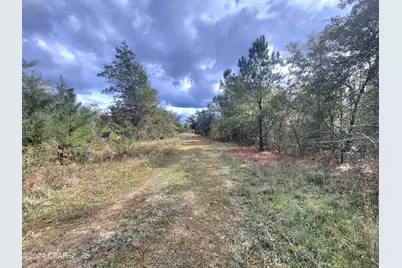 00 Sandridge Church Road, Grand Ridge, FL 32442 - Photo 1