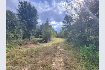 00 Sandridge Church Road, Grand Ridge, FL 32442 - Photo 2