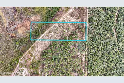 - Pine Log Road, Chipley, FL 32428 - Photo 6