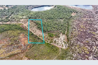 - Pine Log Road, Chipley, FL 32428 - Photo 4