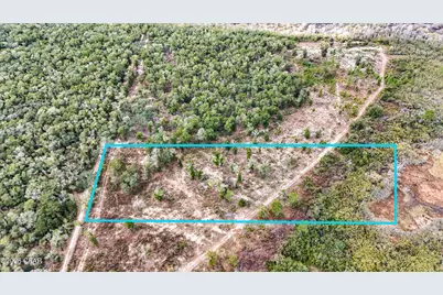 - Pine Log Road, Chipley, FL 32428 - Photo 2