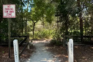 231 Via Largo, Santa Rosa Beach, FL 32459 - Photo 48