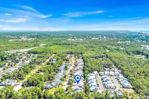 231 Via Largo, Santa Rosa Beach, FL 32459 - Photo 46