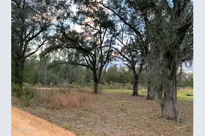 7010 Nobles Road, Grand Ridge, FL 32442 - Photo 2