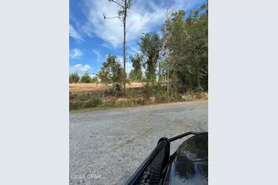 Lot 1 & 2 Lakeshore Drive, Alford, FL 32420 - Photo 14