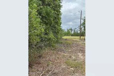 Tbd Pilgrim Rest Church Road, Marianna, FL 32448 - Photo 4