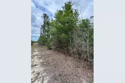 Tbd Pilgrim Rest Church Road, Marianna, FL 32448 - Photo 2
