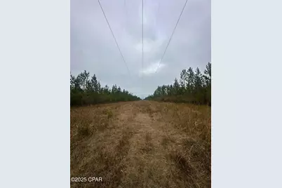 00 Fl-71, Blountstown, FL 32424 - Photo 10