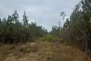 00 Fl-71, Blountstown, FL 32424 - Photo 1