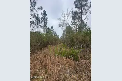 00 Fl-71, Blountstown, FL 32424 - Photo 12