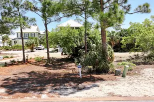 338 Cord Grass Way, Port Saint Joe, FL 32456 - Photo 1