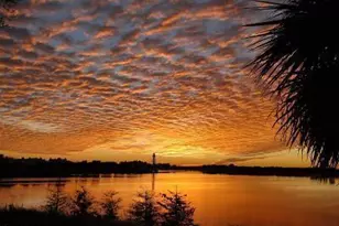 2400 Grandiflora Blvd, Panama City, FL 32408 - Photo 1