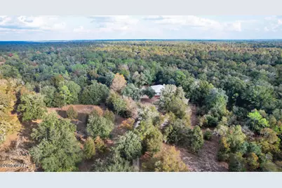 20110 Deep Springs Road, Fountain, FL 32438 - Photo 38