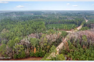 Xxx White Road #1.14 Acres, Chipley, FL 32428 - Photo 6