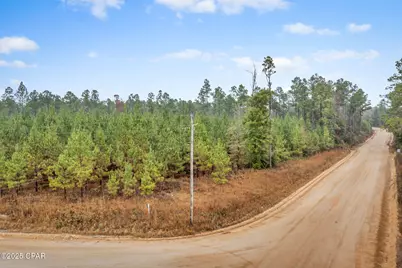 Xxx White Road #12.78 Acres, Chipley, FL 32428 - Photo 2
