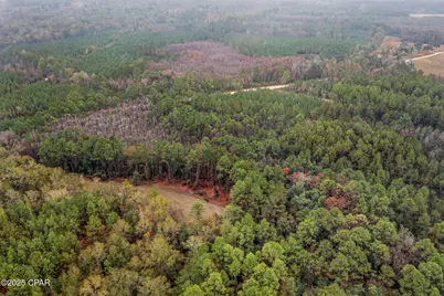 Xxx White Road #12.78 Acres, Chipley, FL 32428 - Photo 14