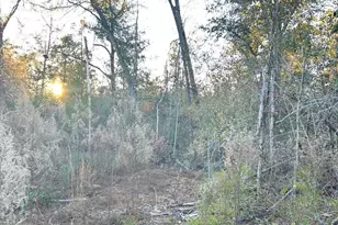 Tbd Hwy 90, Marianna, FL 32446 - Photo 1