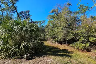 2511 Commander Rd, Southport, FL 32409 - Photo 6