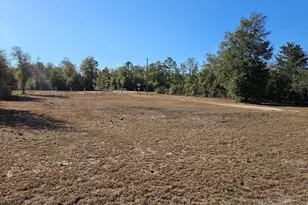 12511 Sweetwater Branch Rd, Fountain, FL 32438 - Photo 24