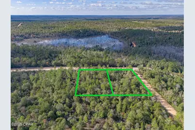 1166 Alene Drive, Alford, FL 32420 - Photo 6