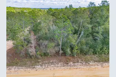 1166 Alene Drive, Alford, FL 32420 - Photo 12